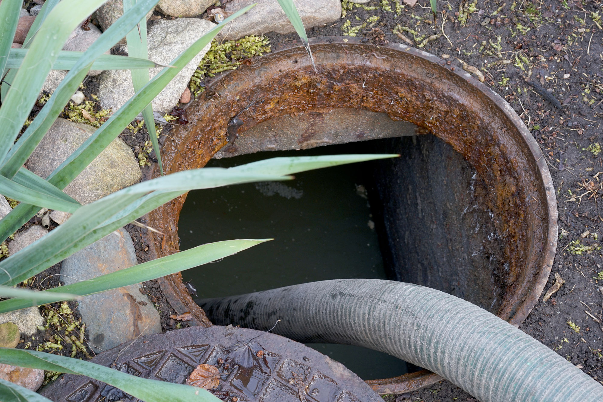 Septic Pumping in Banks